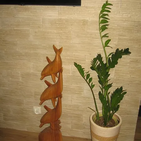 Appartement Apartament Skwer Central Gdynia