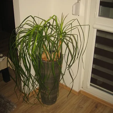 Apartament Skwer Central * Gdynia